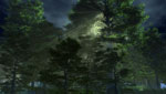treelight